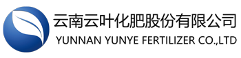 今年会有限公司